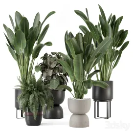 Indoor plants in ferm living bau pot large